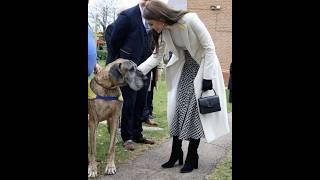 Cute Dog, Catherine princess  #katemiddletion #britishroyalfamily