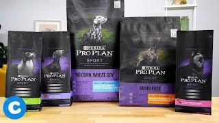 Purina Pro Plan Sport Dog | Chewy
