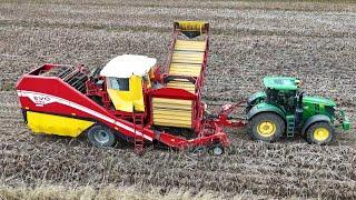 JOHN DEERE 6250 R mit ein GRIMME EVO 280 Kartoffelvollernter / 4K