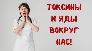 Токсины и яды вокруг нас. Что делать? Доктор Лисенкова
