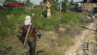 Killing the Chort easily at level 1. The Witcher 3: Wild Hunt Next Gen update