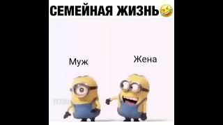 Семейная жизнь Миньоны