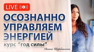 Как осознанно управлять своей энергией и достигать цели на протяжении всего года