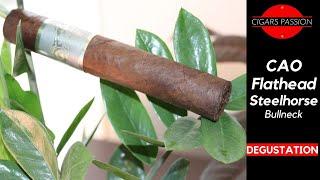 CAO Flathead Steel horse Bullneck