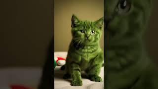 Hi #shorts #cat #cute #funnycat #viral #greencat #greenie