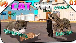 ***КАК БЫСТРО ПРОКАЧАТЬ СЕМЬЮ?***В Cat sim