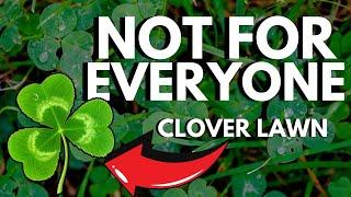 Watch This BEFORE You Start A Clover Lawn… it’s a BIG commitment. Clover Lawns 101