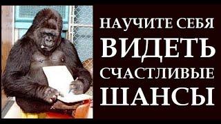 НАУЧИТЕ ВАШ МОЗГ ПОКАЗЫВАТЬ ВАМ СЧАСТЛИВЫЕ ШАНСЫ