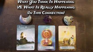  What You Think Is Happening In This Connection VS. What Is Really Happening  Pick A Card Reading