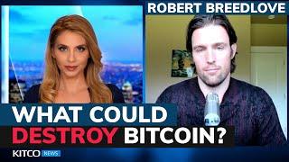Bitcoin’s ‘black swan’ event that would wipe the crypto out – Robert Breedlove
