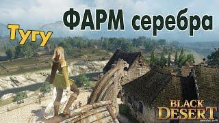 Black Desert (RU) - Фарм серебра. Спот с Тугу