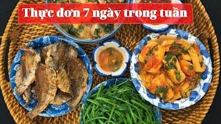 Thực đơn cơm gia đình 7 ngày trong tuần