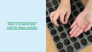 Ferry Morse Pro Hex Seed Starting Tray 72 Cells