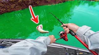 The #1 Lure to Catch A LOT of Spring Bass!