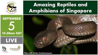 NParks Spotlight: Amazing Reptiles and Amphibians of Singapore (Festival of Biodiversity Edition)