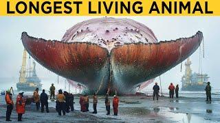 Scientists Are Shocked These Animals Are Still Alive!