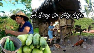 Fresh Gulay Harvest |Cooking Healthy Food COUNTRYSIDE LIFE