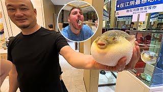 Eating The Poisonous Pufferfish ( FUGU ) In China