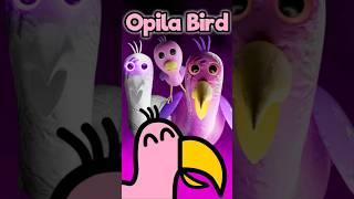Garten of Banban 8: OPILA BIRD EVOLUTION COMPARISON (all transformations) 