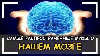 Самые Распространенные Мифы О Нашем Мозге