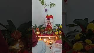 savitri brata