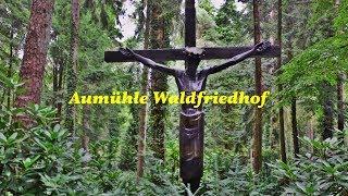 Aumühle Waldfriedhof-Historie/Grossadmiral Karl Dönitz