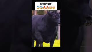 #video #funny #youtubeshorts