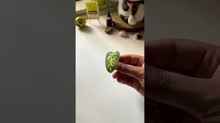 Diy mini plant 🪴 #diy #plants #diycrafts #diyideas #shortvideo #artideas #art #craft