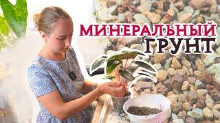 Минеральный грунт | Для каких растений подойдёт, посадка и пересадка, уход, борьба с вредителями