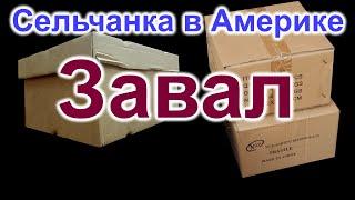 Сельчанка в Америке.Завал