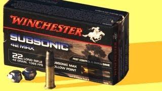 Winchester 42Max subsonic and PowerPoint supersonic review