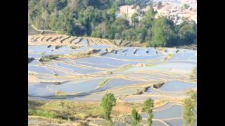 les rizières en terrasses du Yunnan (Zhongguo  A.Ka.)