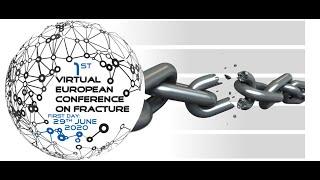 Contact problems for cracks under impact loading