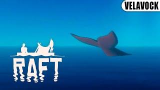 Meeting with a whale - Raft