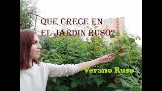 Que crece en el jardin ruso? Verano Ruso. La vida en Rusia!