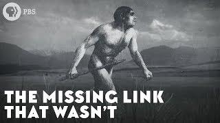 The Missing Link That Wasn’t
