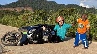 Monkey Abu rescues Mom from an accident!