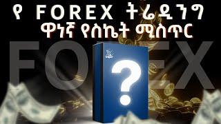 የፎሬክስ ትሬዲንግ ዋነኛ ሚስጥር | The secret elements of Forex trading