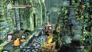 Dark Souls [эпизод 4] - Нижний Город Нежити, Капра