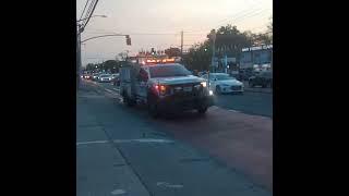 NYPD ess 5