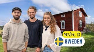 Varför de gör den stora flytten till Sverige