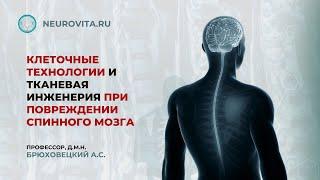 Клеточные технологии и тканевая инженерия при повреждении спинного мозга