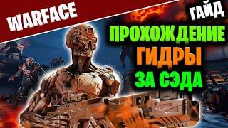 КАК ЛЕГКО ПРОЙТИ ГИДРУ ЗА СЭДА — ПОДРОБНЫЙ ГАЙД [WARFACE]