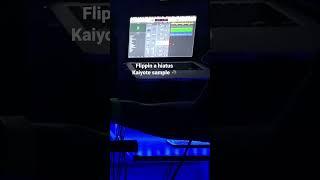 Sample flip vibe