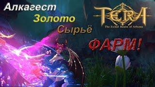 TERA Online - Фарм Золота, Алкагеста, Сырья. (очки доблести авангарда )