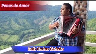 Penas de Amor Luis Carlos Cedeño Ritmos de Pedasi