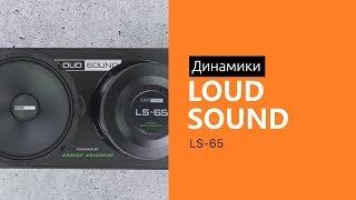 Распаковка динамиков LOUD SOUND LS-65