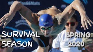 #motivational Best Motivational video about swimming/(Мотивирующее видео о плавании) Сухое плавание