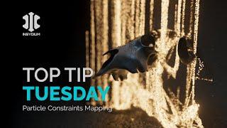 Top Tip Tuesday - Particle Constraints Mapping