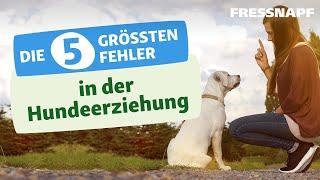 Die 5 größten Fehler in der Hundeerziehung